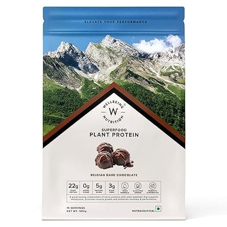 Wellbeing Nutrition Organic Vegan Plant Protein Isolate | Belgian Dark Chocolate, 500gm
